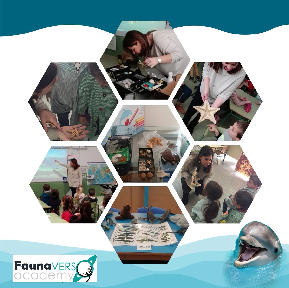 Potencia el desarrollo educativo en tu colegio con nuestros cursos de formación especializados - mailchi.mp/cd3466ff0f22/p…
