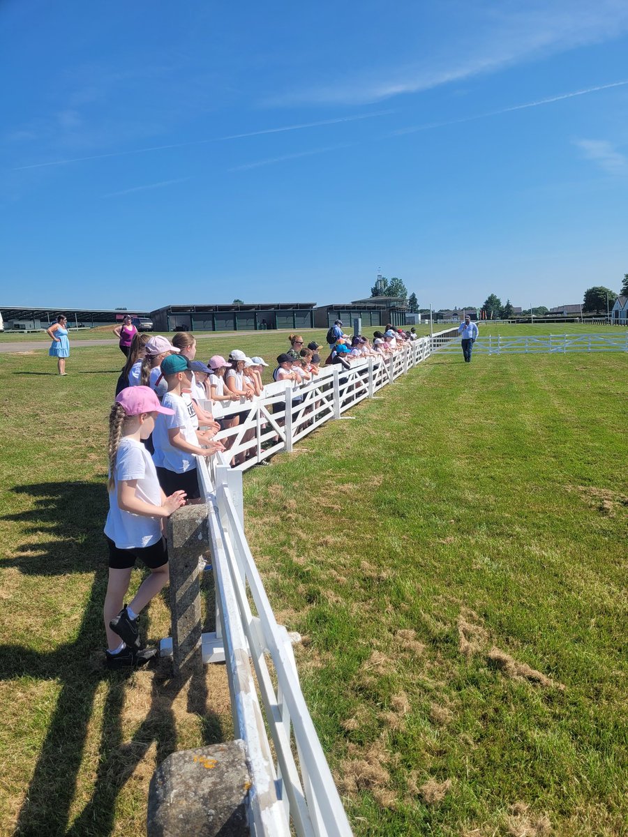 StAntsShipley's tweet photo. We are here and having a blast at the farm animal arena #countrysidedays @YorksAgSoc https://t.co/yfGIwdBo7q