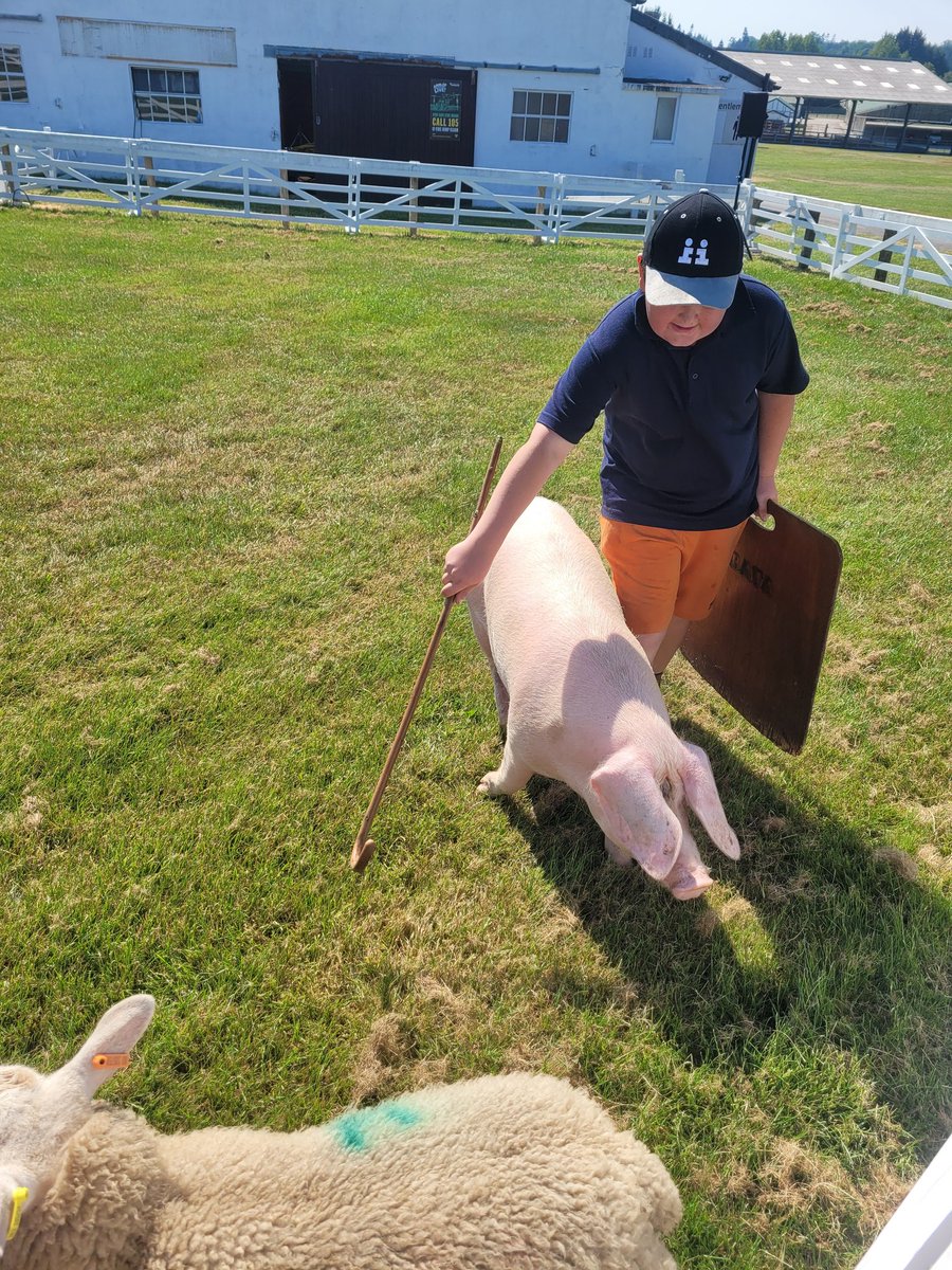 StAntsShipley's tweet photo. We are here and having a blast at the farm animal arena #countrysidedays @YorksAgSoc https://t.co/yfGIwdBo7q