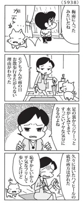 最近の「ウチの場合は」  靴の中に水が染み込んでくるとゲンナリします。  @mainichi #毎日新聞夕刊