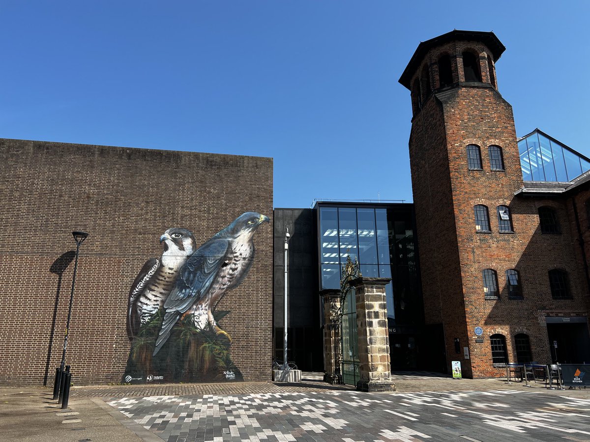 curlewcalls's tweet photo. Feeling angry and upset about the world, how it’s designed around systems and institutions not fit for purpose, where humanity and wildlife are drained of joy, and then someone puts this bold statement on the side of a city building, and suddenly you don’t feel so alone. https://t.co/g82xEy0x8g