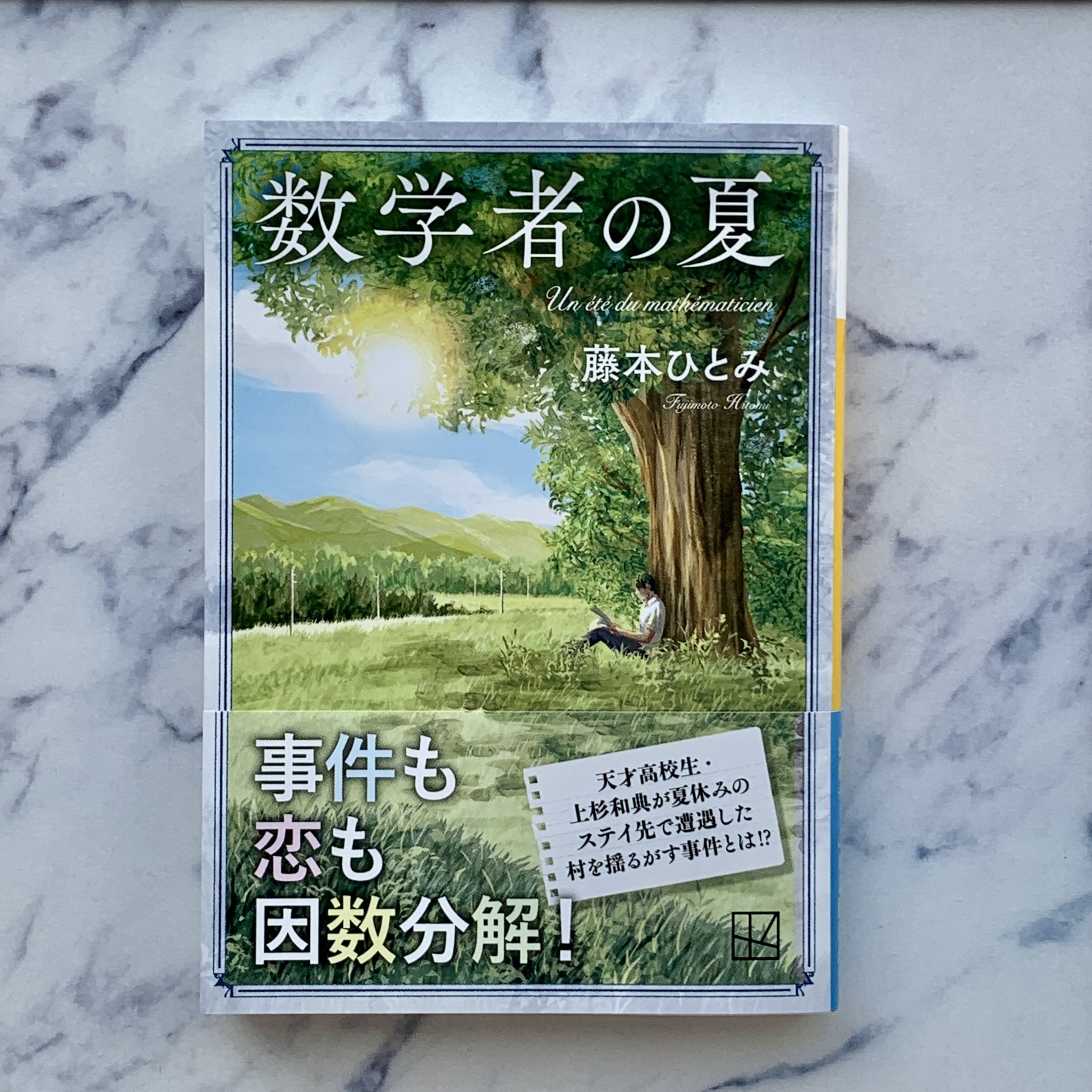 数学者の夏 71GDXzzLlaL.jpg