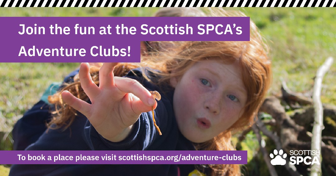 Scottish SPCA 🐾 tweet media