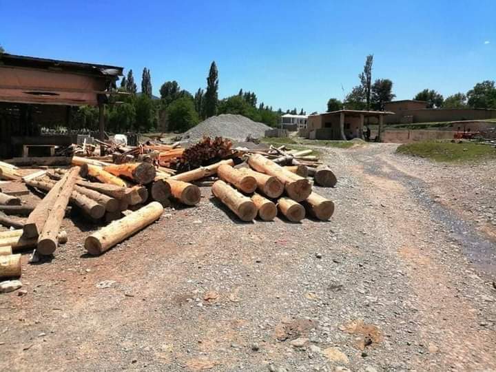 ضلع خیبر تیراہ میں جنگلات کی کٹائی اور قیمت لکڑی کی  
چوری اور لوٹ مار میں ضلعی انتظامیہ، ڈی پی او اور محکمہ جنگلات سمیت تمام اداروں  ملوث ہے.
#Deforestation 
#climatechanges