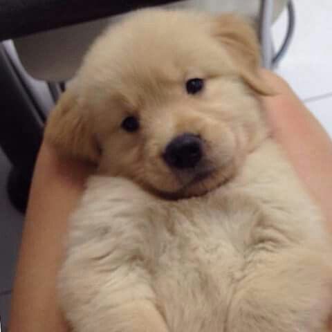 ฮัมไมพูดแบบนั้น เค้ารักเทอคนเดียว