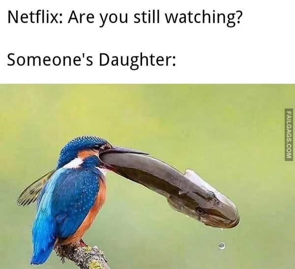 All This And You Still Jokes