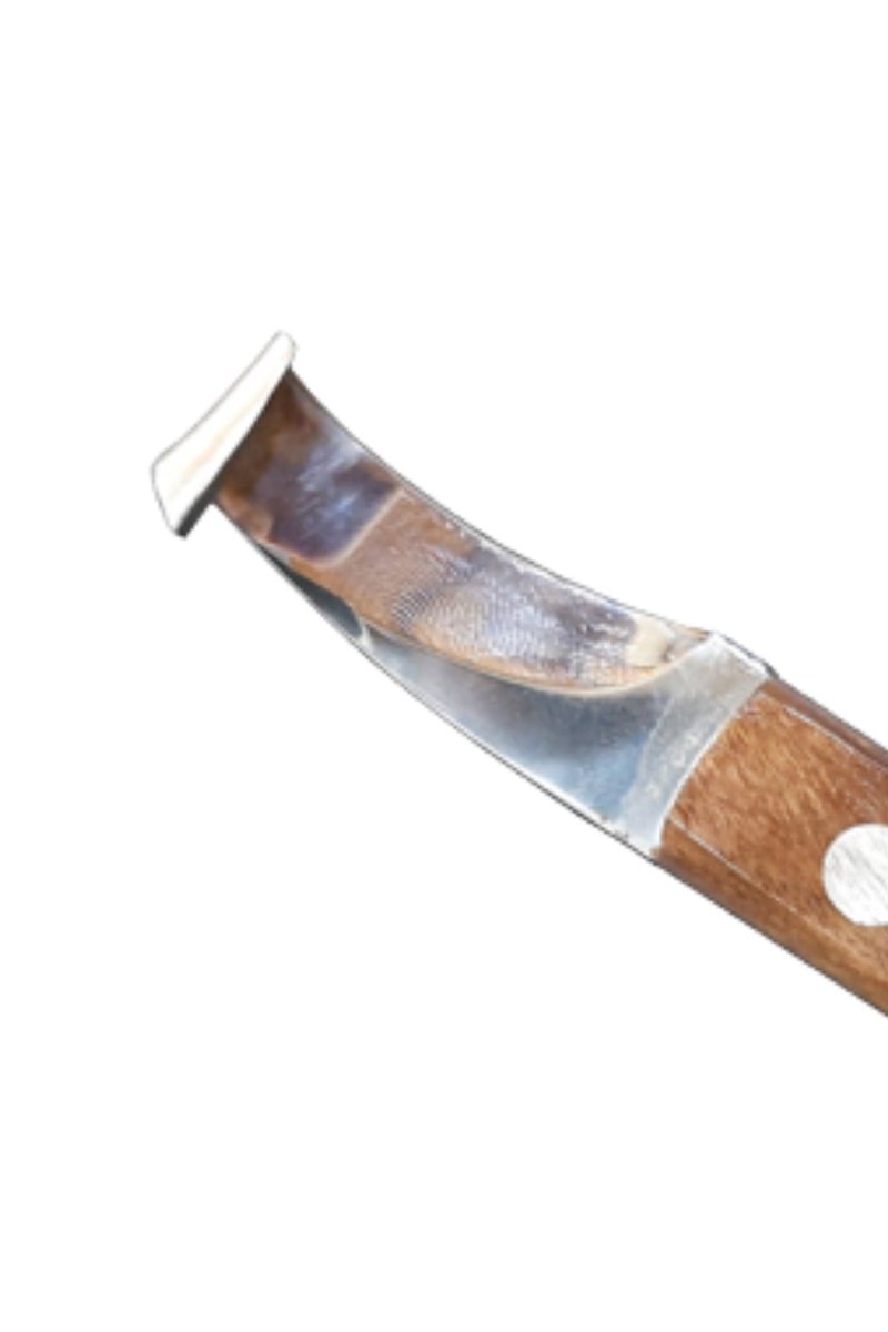 PREMIUM JAPANESE PISTOL HOOF KNIFE 🗡

Manufacturers &amp; Wholesalers of All kind of Farrier Tools 🐎
☎️ / WhatsApp: +923331979993
Customized Logo Wholesale Prices
✈️ We Ship Worldwide 🌍

#farrier #horse #lovemyjob #horses #horsesofinstagram #polo #equestrian #pony #horseriding