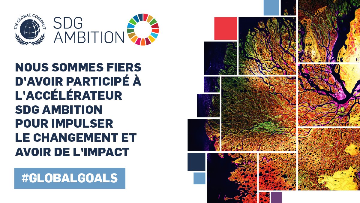 GroupeSTERNE's tweet image. 🌱Nous venons de formuler notre plan d’action dans le cadre du programme &quot;Accélérateur #SDGAmbition&quot;. Animé par le @PactemondialFr &amp;amp; @Accenture, ce programme permet de renforcer nos engagements pour intégrer et atteindre les 17 Objectifs de développement durable #ODD  #ESG