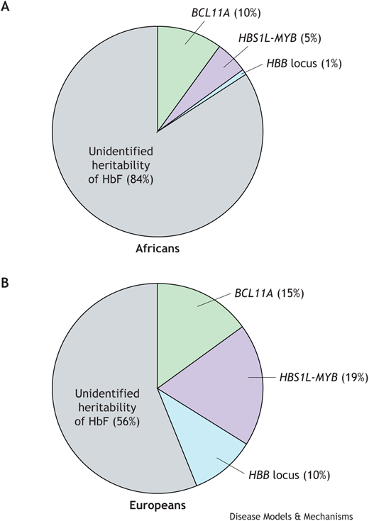 DMM_Journal's tweet photo. Today is #WorldSickleCellDay so check out this #DMMPerspective from Ambroise Wonkam @JohnsHopkins where he urges #SCD genetic studies in diverse populations to improve treatments for EVERYONE
📰https://t.co/KWmkXbNlTt
#WorldSickleCellDay2023 #ShineTheLightOnSickleCell https://t.co/bvPVd0EccP