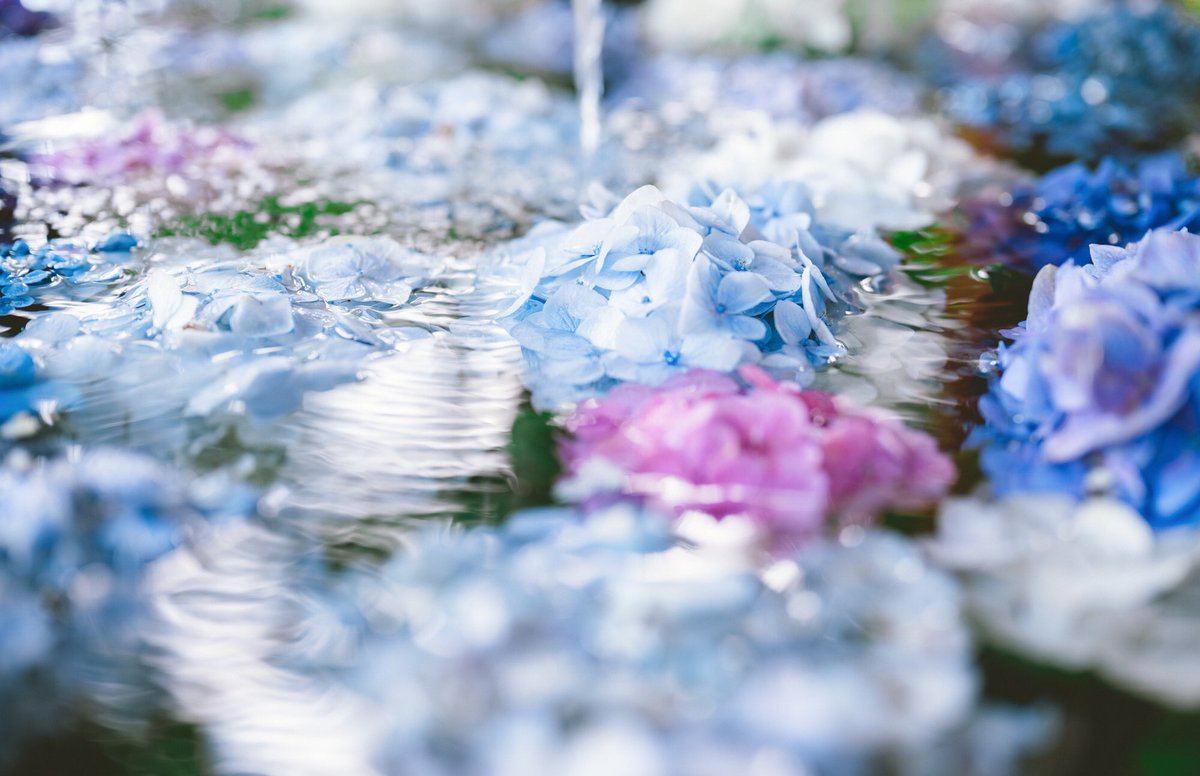 雨の季節