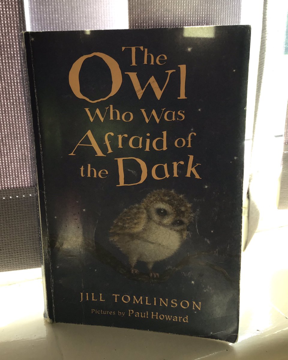 We are enjoying reading ‘The Owl Who Was Afraid of the Dark’ in our guided reading sessions. The old lady in the story says that children should be seen and not heard. Fletcher class disagree but say they think their parents might agree with her  <a href="/WilthorpePS/">Wilthorpe Primary</a> #WilthorpePSReading