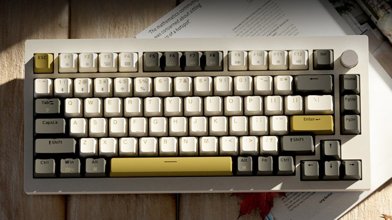 jamesdonkeylab's tweet image. More color options for A3!✅

#jamesdonkey #mechnicalkeyboard #keyboard #gamingkeybaord #desksetup 

know more:jamesdonkeylab.com/collections/a3