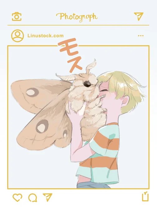 インスタ版のモス  イラスト一気見はこちら↓  