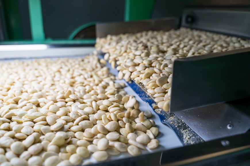 . <a href="/coopagrariesCAT/">Federació de Cooperatives Agràries de Catalunya</a> xifra en 9.283 tones d'ametlla en gra les expectatives de producció per aquesta campanya, que suposaria un increment d'un 254,6%, tot i que aquesta xifra podria caure si continuen la sequera i les limitacions del reg.

➡️ ja.cat/vmlWa