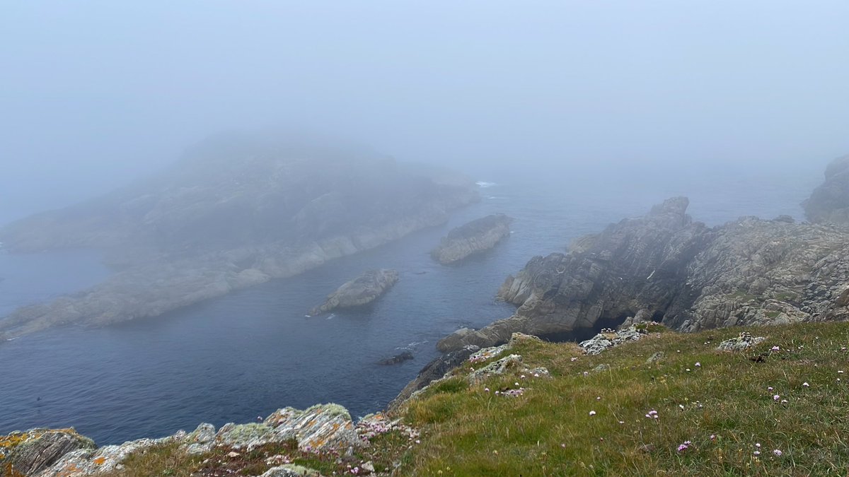 On Haar watch at Strathy Point today!