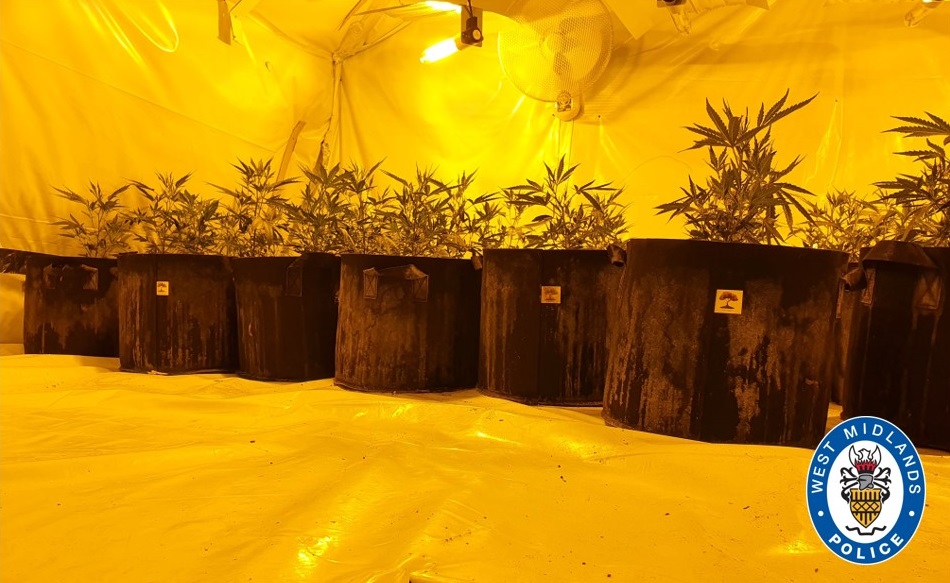 We discovered a cannabis factory after responding to reports of a burglary in Weston Road #Smethwick this morning (13 June).

We found around 30 plants and equipment to assist in growing the drugs at just before 2.30am. Enquiries are ongoing.