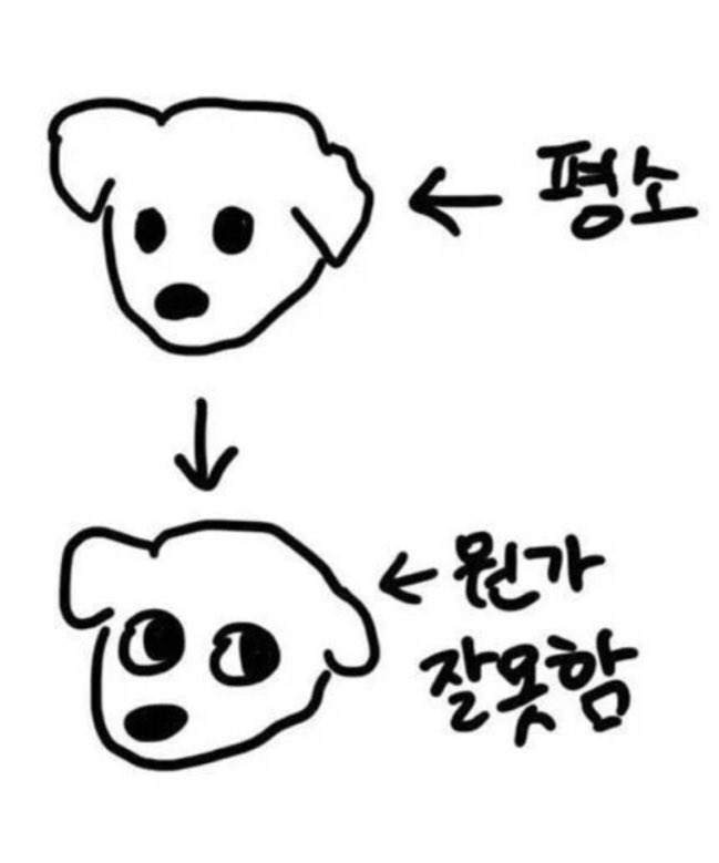 약간 쫄 상태되면 ~오 말투 씀 
귀여움