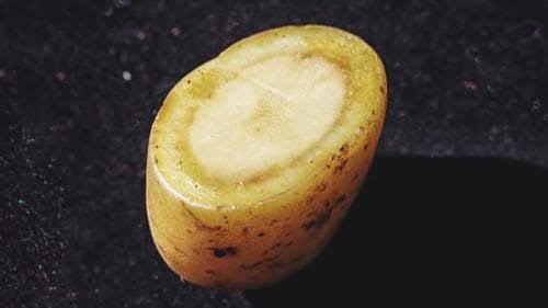 GrafitoV's tweet photo. What you are looking at now currently is a half boiled-half potato basically the knowledge and sense of 90% of people on internet. So next time you get offended by someone's stupidity remember this rather than wasting your precious time. 🤗🤗 https://t.co/fOd9kt4LSw