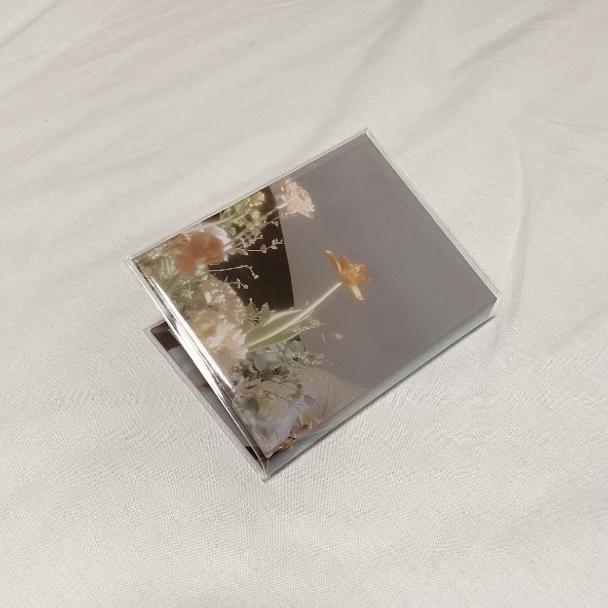 CARAT盤のバインダー、カバー付けたかったけど個人的にクリアファイル