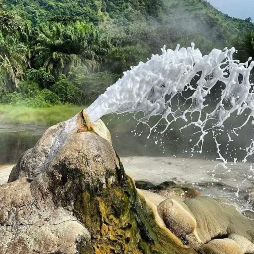PloverTours's tweet photo. Happy to have a boiled egg! From the natural hot pressure of the Semliki hot springs ♨️ these features depict the movement of tectonic plates and lots of transformation beneath earth 🌎 
#plovertoursandtravel 
#vistuganda
#semlikinationalpark 
#adventureuganda https://t.co/cOGr9z9msE