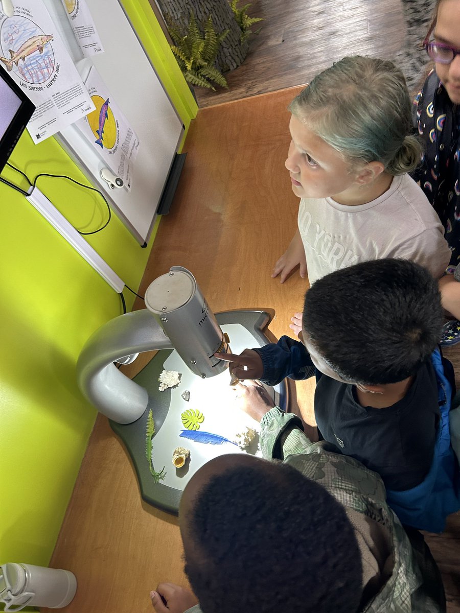 Well it was certainly a wet day 🌧️ but the kids had so much fun. Thank you <a href="/HeartlandForest/">Heartland Forest</a>! <a href="/FitchSchool/">Fitch Street School</a> <a href="/dsbn/">District School Board of Niagara</a>