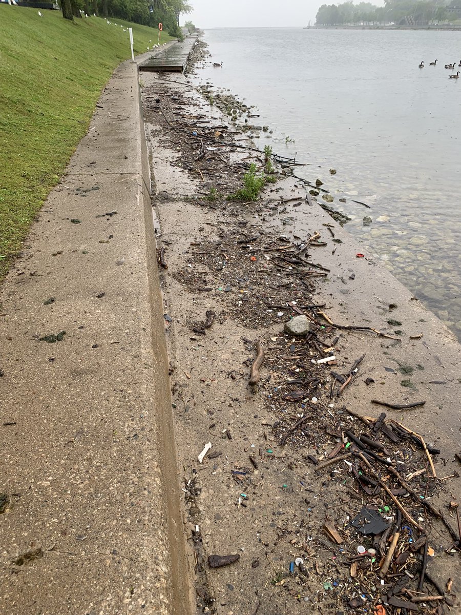 Walking Toronto waterfront on rainy day yesterday. Both sewage treatment plants were bypassing sewage to Lake and stormwater sewage overflows were discharging. Water was murky grey with visible plastics floating. We need to do better protecting our ecosystem &amp; drinking water.