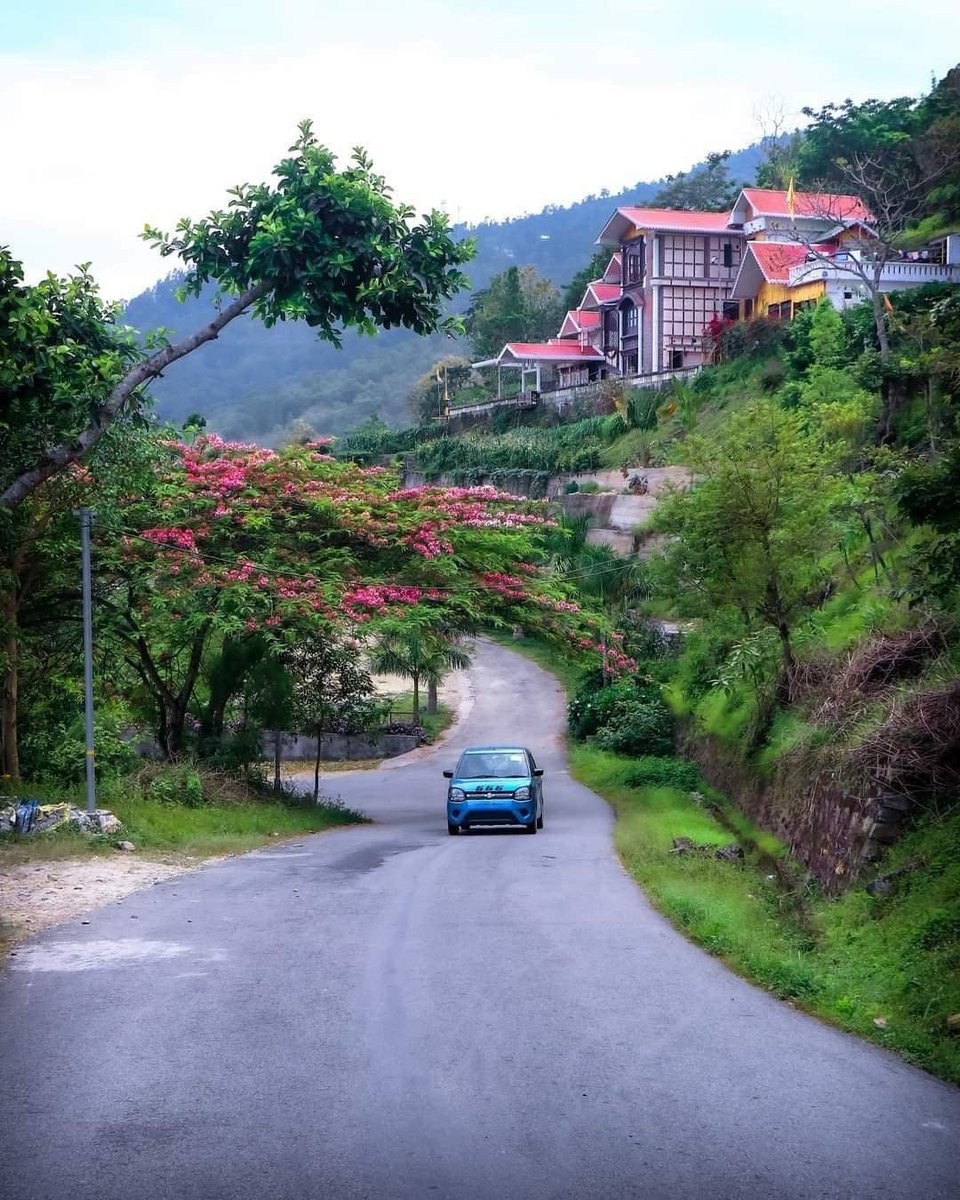 En route to Namthang...

📍#sikkim #India 🇮🇳 

#TheHimalyanClub