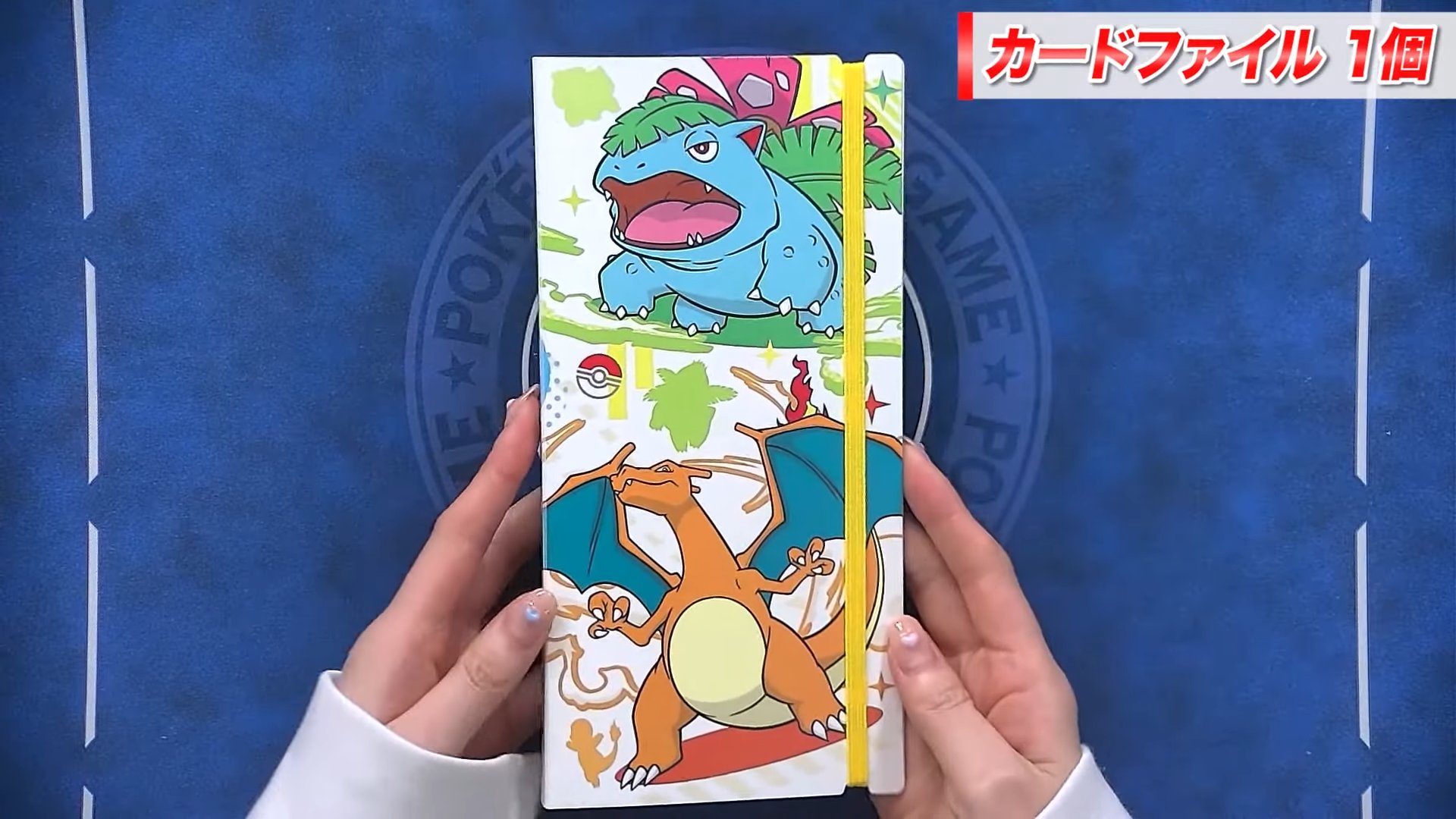 ポケモンチャンネルカード　ポケモンナイスカード　56枚まとめ売り ポケモンチャンネルカード ポケモンナイスカード 56枚まとめ売り