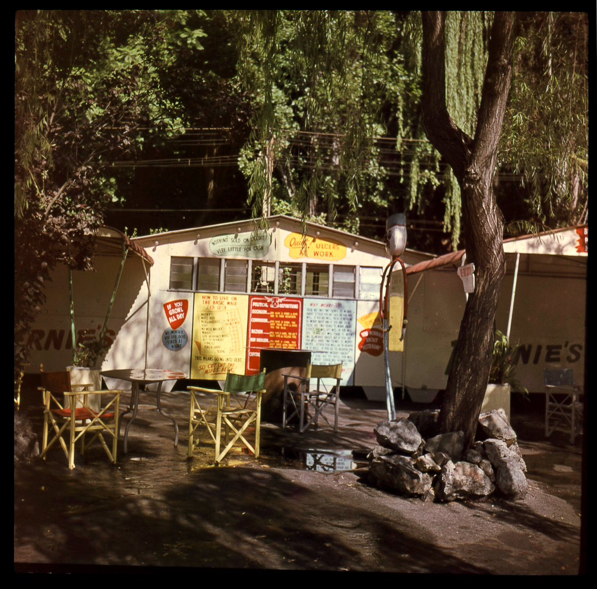 Shelley ⚓️ tweet media