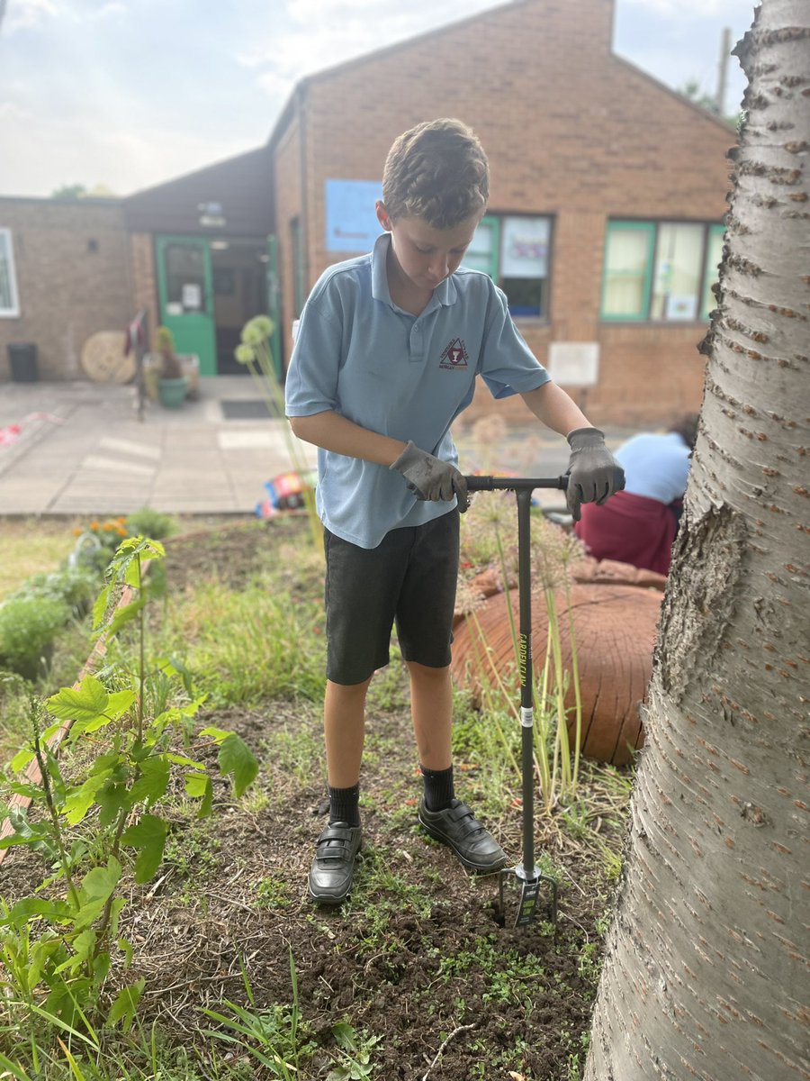 venedwardmorgan's tweet photo. Fantastic first 2 weeks at the after school Gardening Club. Everyone has been working super hard, they’ve had lots of fun and are making our outdoor areas look amazing!! Da Iawn ❤️🙌🐌🐛🦋🌱🌲🌿🌾💐🌷🌼🌸🌺 #outdoors  #gardening #beingoutside #summerterm https://t.co/eHrerM4IKR