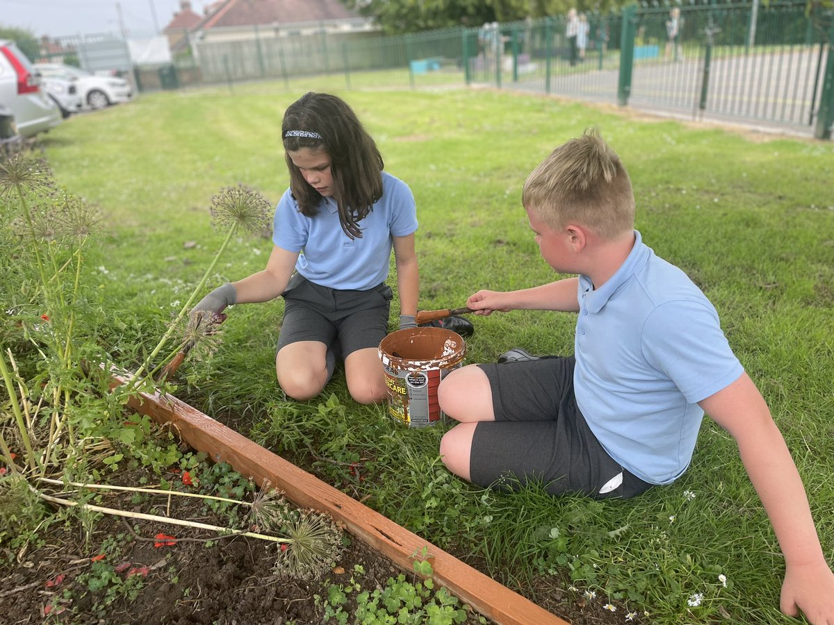 venedwardmorgan's tweet photo. Fantastic first 2 weeks at the after school Gardening Club. Everyone has been working super hard, they’ve had lots of fun and are making our outdoor areas look amazing!! Da Iawn ❤️🙌🐌🐛🦋🌱🌲🌿🌾💐🌷🌼🌸🌺 #outdoors  #gardening #beingoutside #summerterm https://t.co/eHrerM4IKR