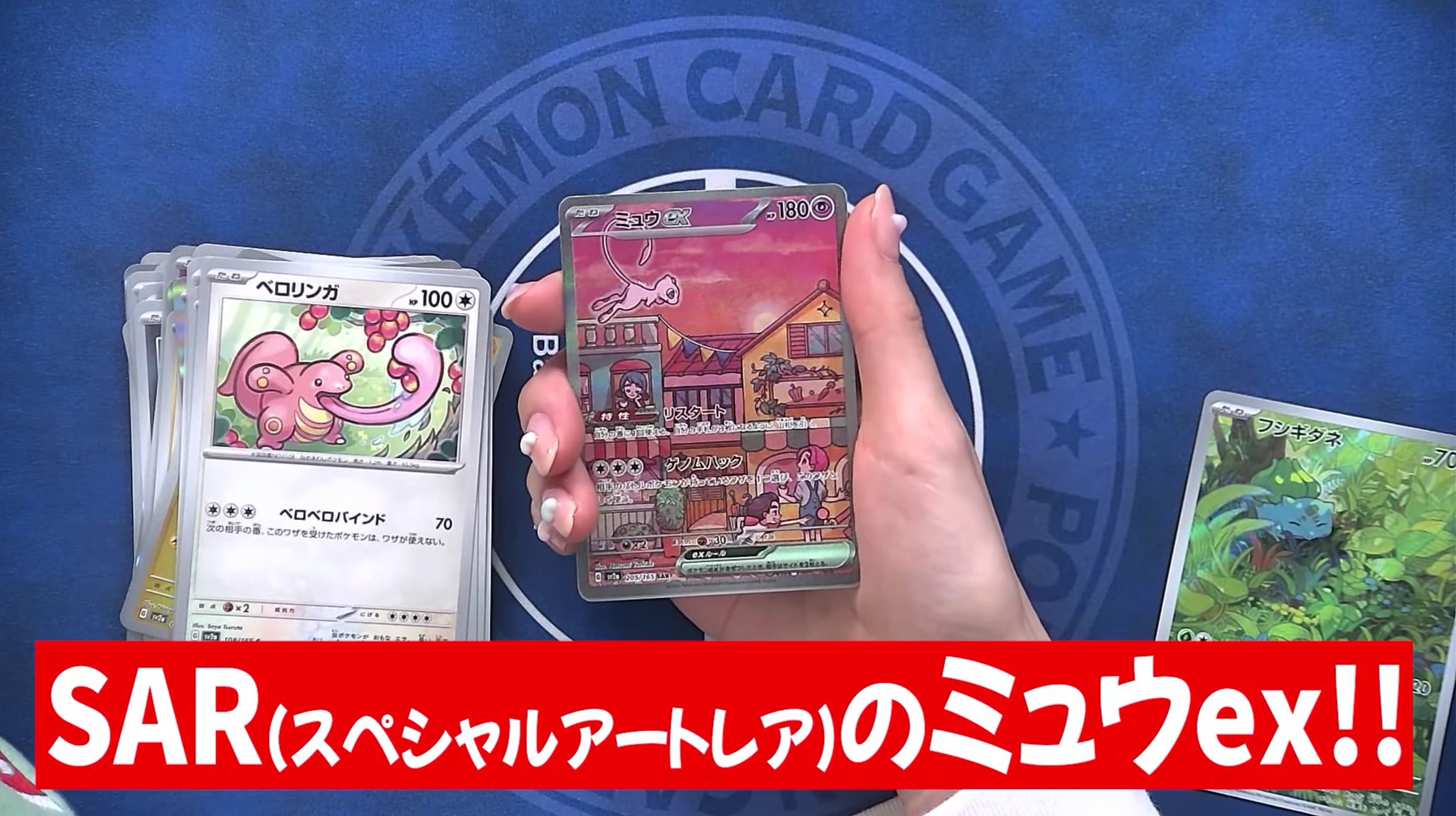 ポケカ【希少】コレクションファイル『ミュウの気配』 ポケカ【希少】コレクションファイル『ミュウの気配』 ポケモンカード