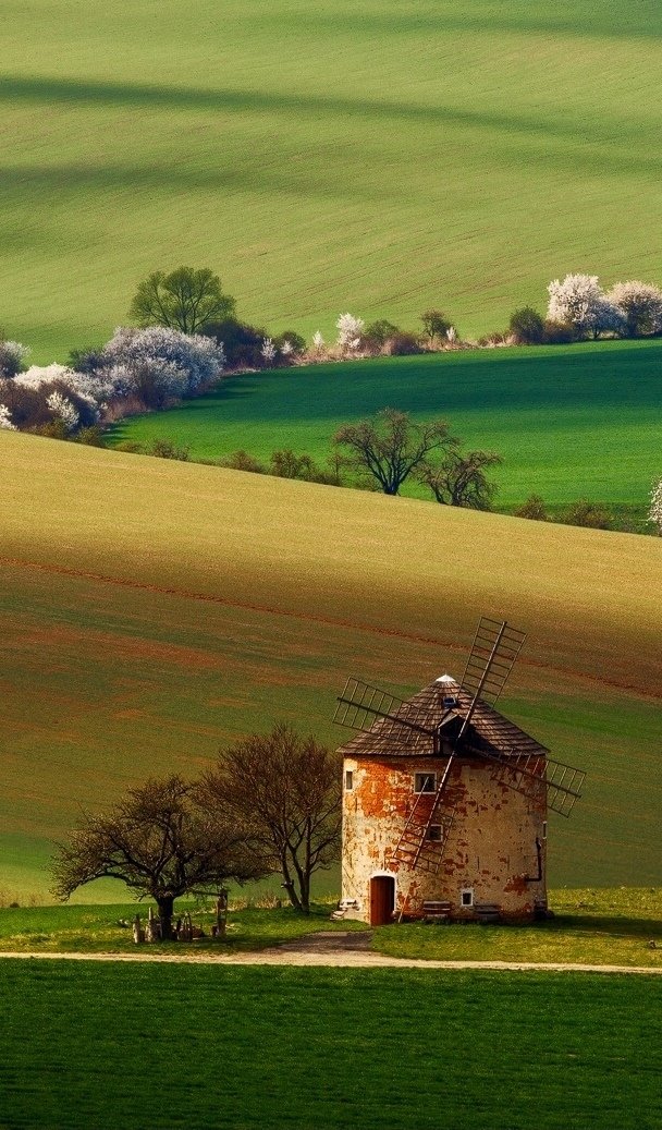 ili_naturelover's tweet photo. Simple things are valuable treasures https://t.co/Bm25cKrzGR