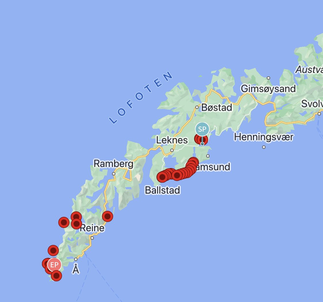 Now our lost Oystercatcher is travelling around Lofoten Norway! Second summer of being lost in Norway looking for his love from Keflavík. #lofoten #migration #shorebirds