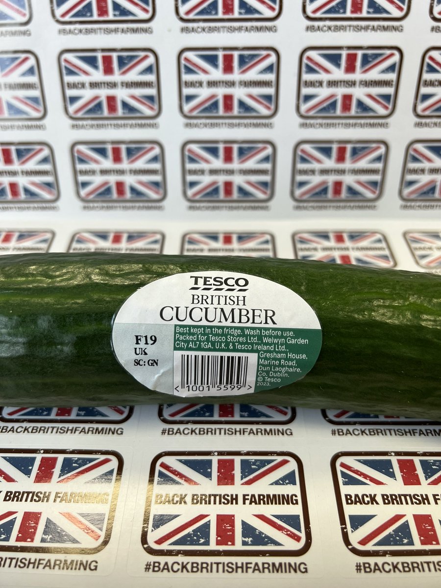 The Humble Lea Valley Cucumber for the perfect hot weather Salad.

Grown in Hertfordshire greenhouses using natural light & recycled water.

#Backbritishfarming #Brexit #Biteintobritish #Buybritish #Food 
#GreenTechAmsterdam #GreenTech2023 #Horticulture #HorticultureTechnology