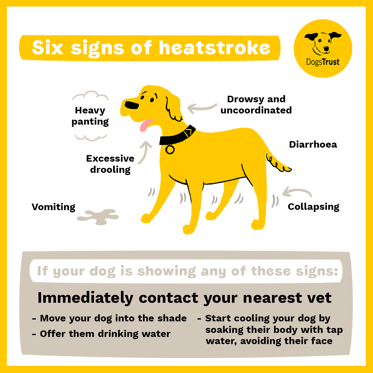 StokeonTrent CC on Twitter "Important advice from DogsTrust about