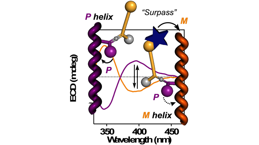 Dynamic Axial-to-Helical Communication Mechanism in Poly[(allenylethynylenephenylene)acetylene]s under External Stimuli (Felix Freire and co-workers) <a href="/felixfreirelab/">Felix Freire</a> <a href="/ciqususc/">CiQUS</a> #AngewandteVIP #openaccess onlinelibrary.wiley.com/doi/10.1002/an…