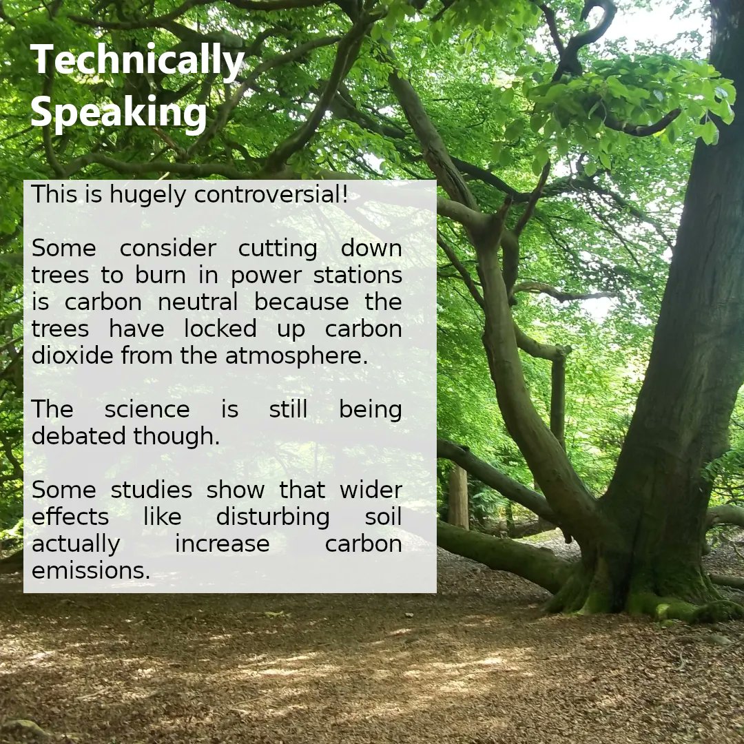 Is it really sustainable to cut down trees to use as fuel for power stations? This is really controversial. We have two experts on our show that have the facts.
#sustainability #climateaction