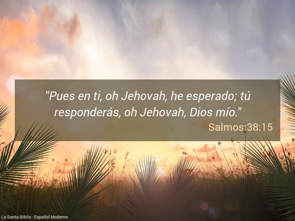🙏¡Ciertamente en ti he esperado y tú responderás, oh Jehová, mi Dios!😇#RPSP #MiBibliaDice #Salmo38 #EsfuerzateEnSuPalabra #PrimeroDios #IWillGo #YoIre #BuenDia #Venezuela🇻🇪