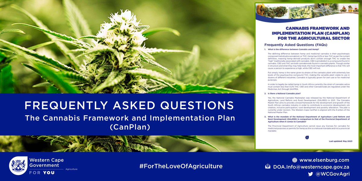 WCGovAgri's tweet photo. [FAQ📢] Want to know more about the Cannabis Framework and Implementation Plan (CanPlan) recently launched by the WCDoA?🥬

➡️CLICK THE LINK FOR THE CANNABIS FAQ: 
https://t.co/IhnltRNBBN

#CannabisPlan #ForTheLoveOfAgriculture🌱 https://t.co/CcCC9WskIL