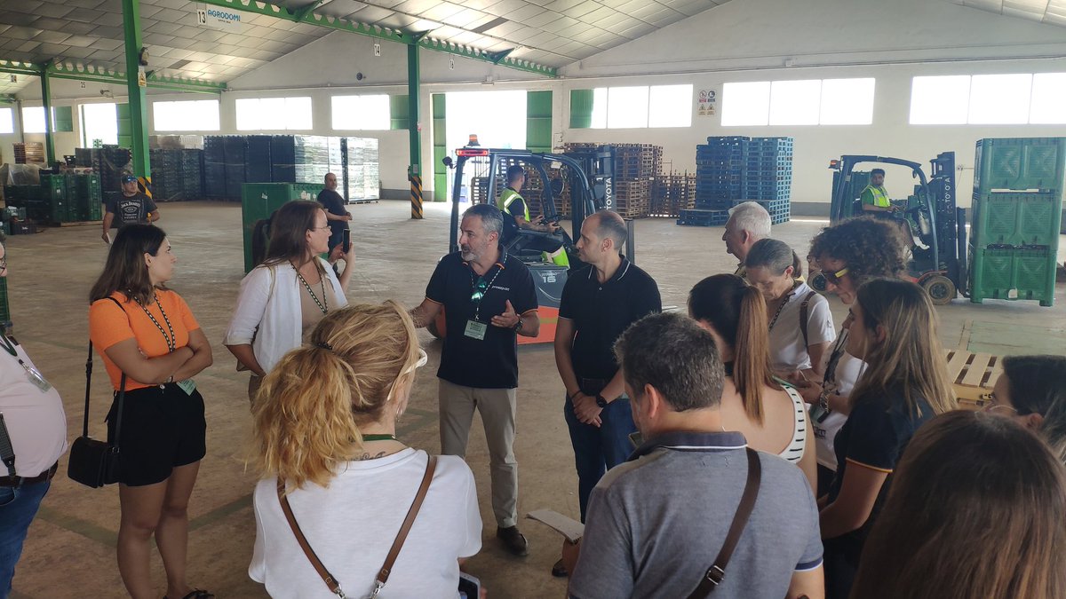 nuevoagrodiario's tweet image. En #Agrodolores nos explican la #subasta del #pimiento 🫑🫑🫑 uno de los productos estrella del sureste español.

@Proexport_Spain
@SemillasFito 
#VitaminateConPimiento