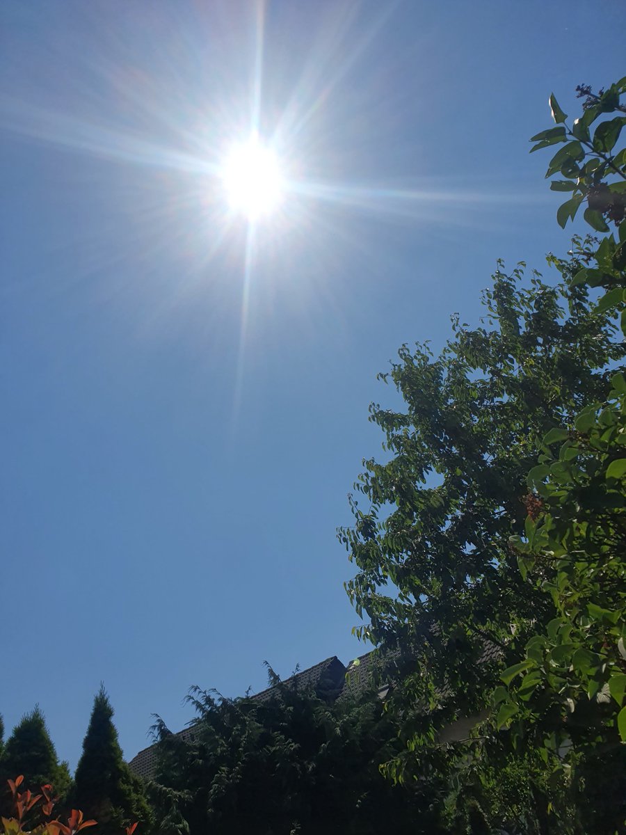 Super Wetter in Bonn