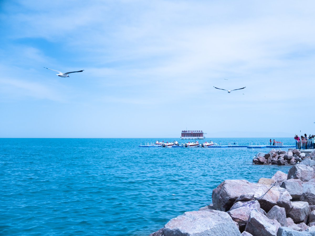 Peaceful Ocean and Seagulls
📷By 嘣沙卡拉卡 with TTArtisan 27mm f2.8
Get the lens here: ttartisan.myshopify.com/products/af27
💥There is a summer sale from June 12th to 18th in our store, up to 20% OFF

#ttartisan #ocean #sea #photography #seagull