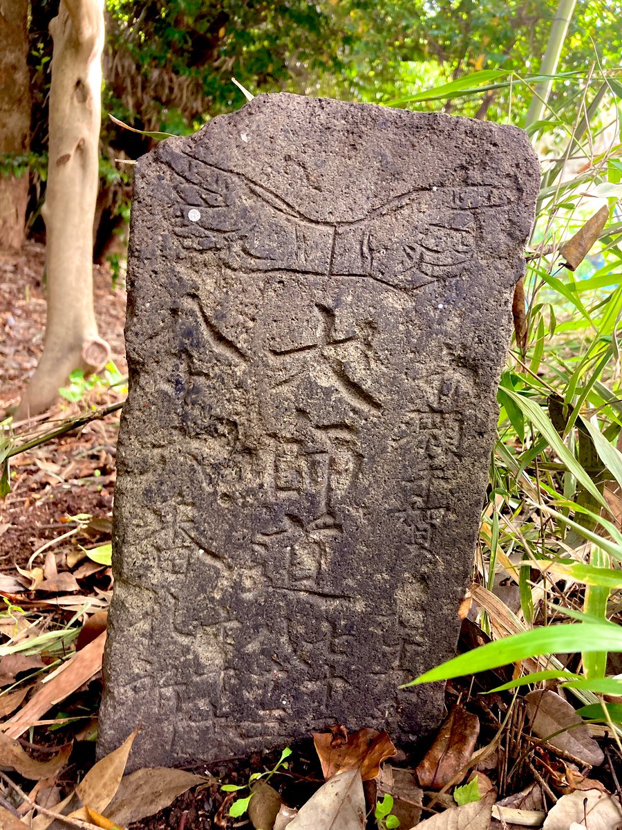 hexawyz A quick snap sure, dudes are way serious. That level of