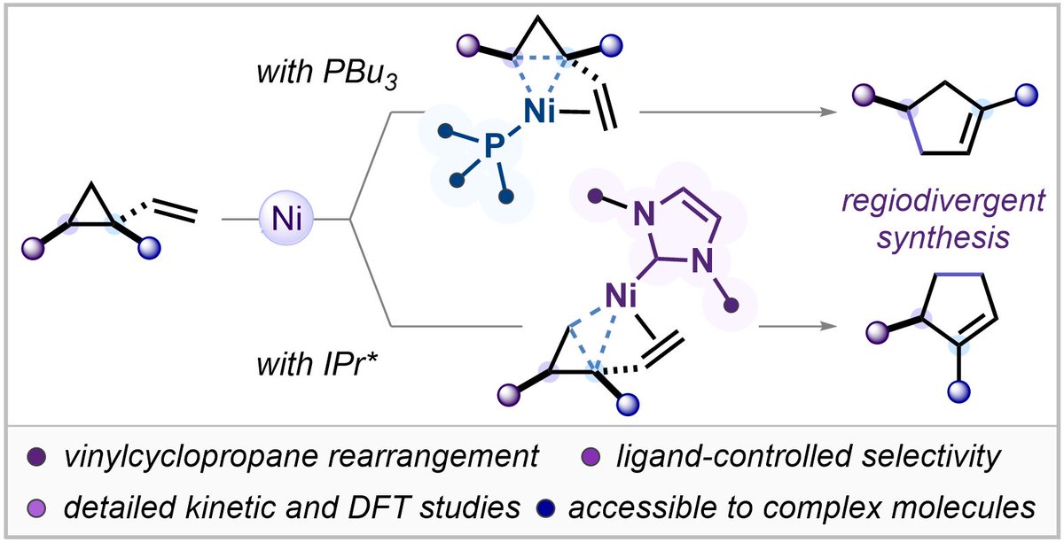 Thrilled to see our paper on regiodivergent vinylcyclopropane rearrangement out now in @angew_chem🔥 Huge congrats to the team for the extensive work on development, kinetics, and computation! onlinelibrary.wiley.com/doi/10.1002/an… @tmiura_chem @okayama_uni
