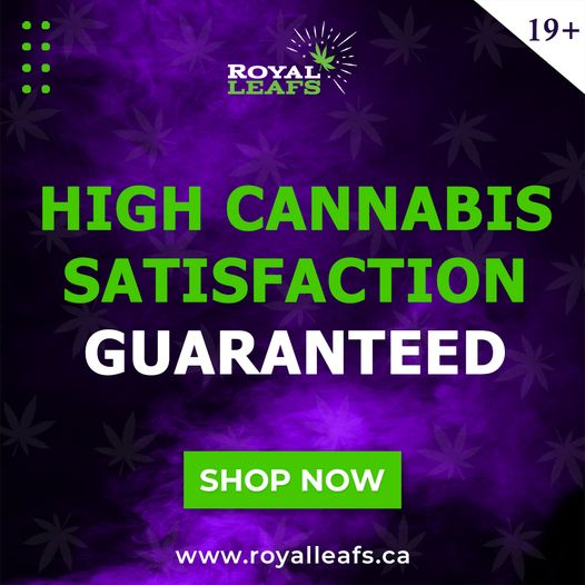 royalleafs's tweet photo. High cannabis satisfaction guaranteed!
Contact Us: +1 365-205-3237
Learn more at https://t.co/aJGOJ4DWE4
#NaturalRemedies #WellnessJourney #DiscoverMore #Relaxation #euphoria #DiscoverMore #waterdown #waterdownvillage #milton #dispensary #dispensarynearme#waterdownontario https://t.co/c2plmeYN4d