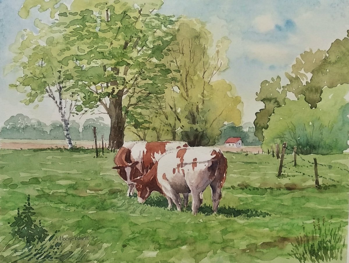 ahoog2's tweet image. Young cattle in spring. #watercolorpainting #Watercolour #watercolorart #landscape #ArtistOnTwitter #paintings