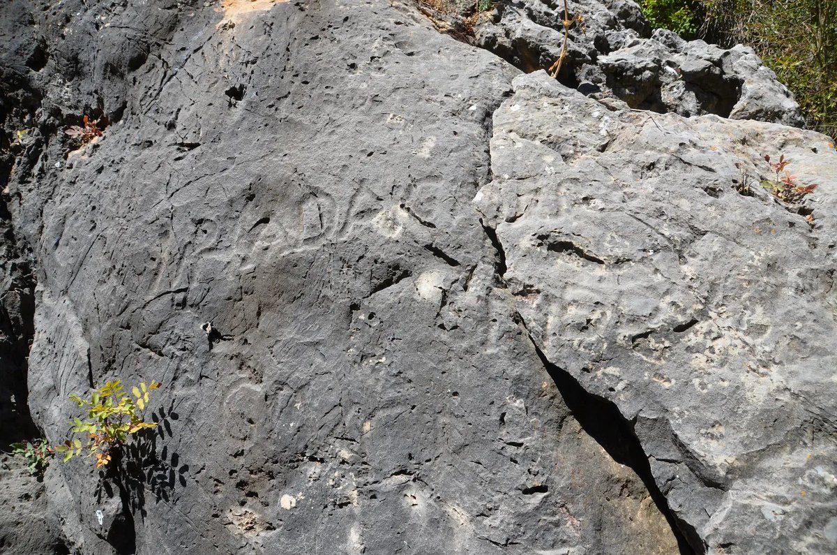 carolemadge's tweet photo. #EpigraphyTuesday - Boundary markers inscribed with warnings against timber thieves with the inscription “IMP HAD AVG DFS AGIV CP”, a Latin abbreviation for IMPeratoris HADriani AUGusti DeFinitio Siluarum Arborum Genera Quatuor Cetera Priuata (Boundary of the forests of emperor Hadrian Augustus: Four Species of trees reserved under imperial privilege).

In an attempt to prevent the deforestation of Phoenicia, Hadrian put up boundary markers around the remaining forests in Mount Lebanon. Some areas were declared "imperial domains". This is one of the earliest traces of environmental management and protection measures by forest registration.