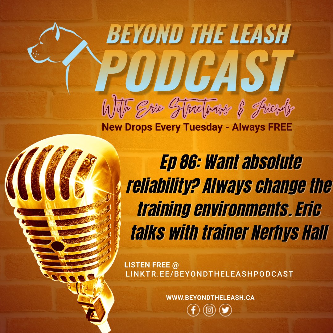 #BeyondTheLeashPodcast 
w/🎙Eric Straetmans 
🎧  Ep 86: Want absolute reliability? Always change the training environments. Eric talks w/ trainer @nerhyshall
🚨OFFICIAL SPONSOR🚨 @BigCountryRaw
#dogs #dogtrainer #dogsoftwitter
#k9training #dogpodcast