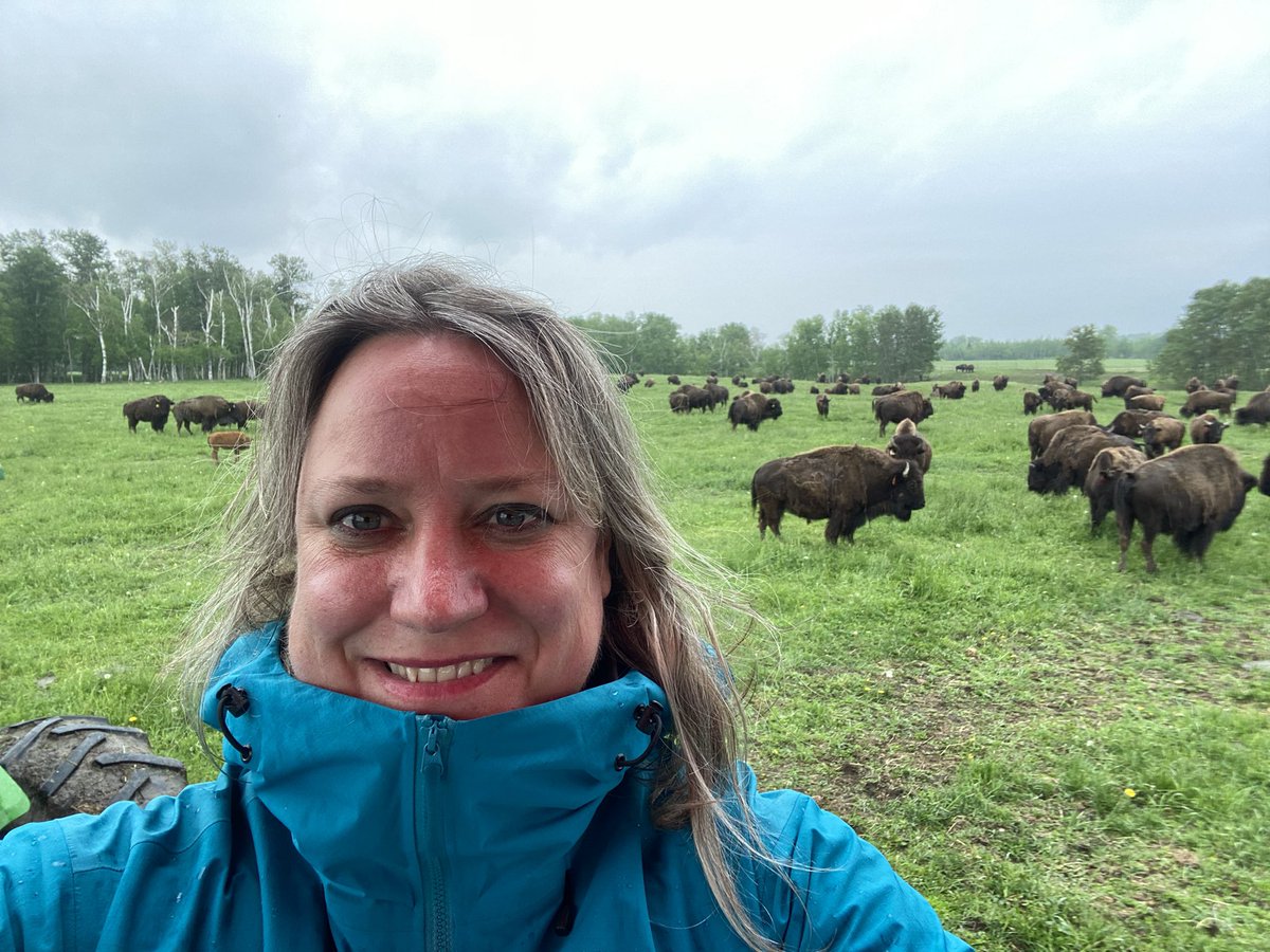 Yesterday I learned a lot about bison! 

We took a tour of Eastern Canada’s largest bison ranch which is Bison Du Nord. 

It’s a tourism experience in Earlton, Ontario offered by farmer Pierre Bélanger. 
I’m here for the 2023 @TravelMediaCA Conference. 

#TMACtravel #tmacsudbury